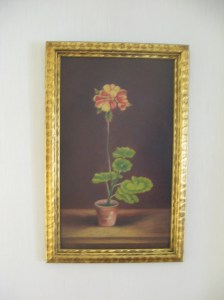 Single Flower in Pot